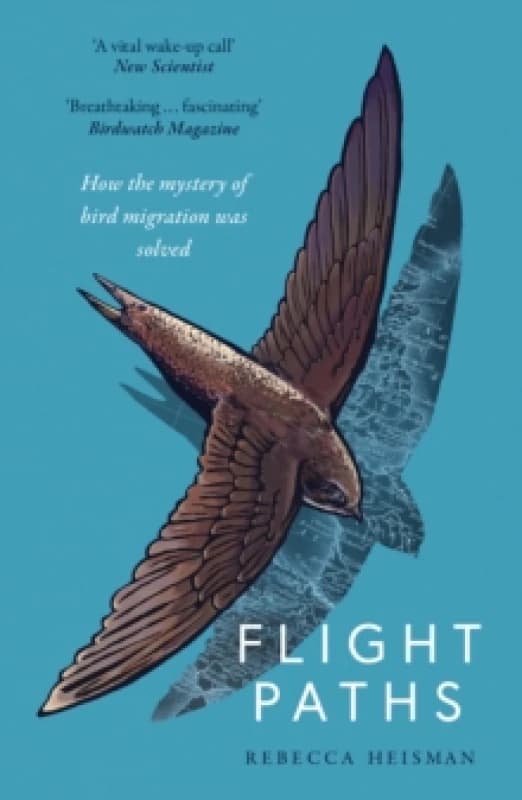 Flight Paths : How the mystery of bird migration was solved Paperback / softback