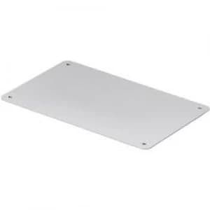 Rittal 9665.785 L x W 250 mm x 160 mm Light grey RAL 7035