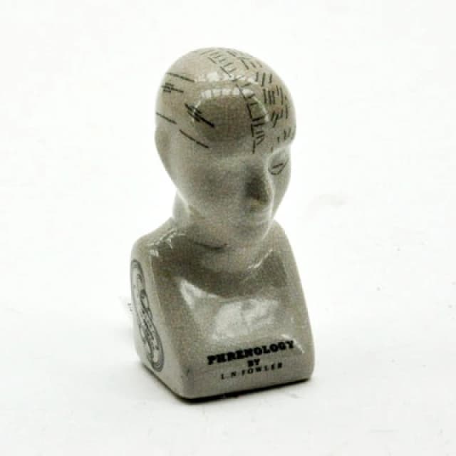 Minster 6" Phrenology Head Ornament - L7 X W8 X H16 Cm