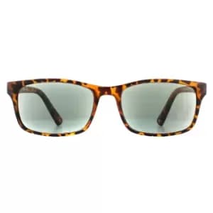 Rectangle Havana Green Readers +1.50 Sunglasses