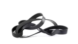 DAYCO V-ribbed belt 7PK1930 Serpentine belt,Auxiliary belt TOYOTA,HYUNDAI,AVENSIS Kombi (T25),RAV 4 II (CLA2_, XA2_, ZCA2_, ACA2_),AVENSIS (T25_)