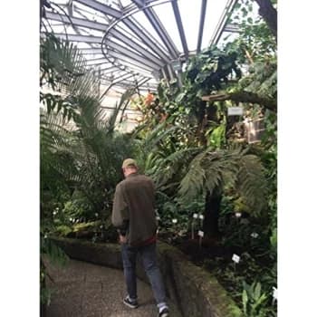 Chmmr - Lp-Chmmr-Try New Things -Lp Vinyl