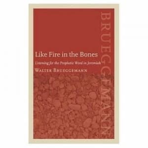 Like Fire in the Bones by Walter Brueggemann and Patrick D Miller Hardback