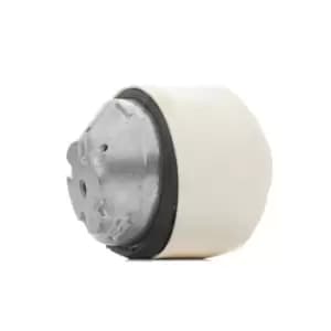 RIDEX Engine mount MERCEDES-BENZ 247E0288 2032401717,2032402417,2032402517 203240251798,2112403117,2212401317,A2032401717,A2032402417,A2032402517