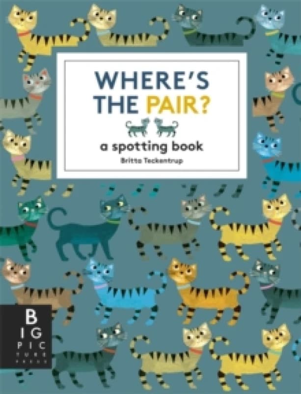 Where's the Pair? A Spotting Book Paperback / softback