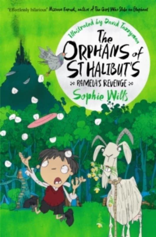 Sophie Wills The Orphans of St Halibut's: Pamela's Revenge Book Multi unisex