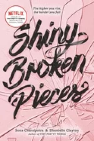 shiny broken pieces a tiny pretty things novel