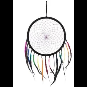Multicolour Feather Dreamcatcher Pack Of 2