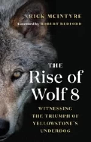 rise of wolf 8 witnessing the triumph of yellowstones underdog
