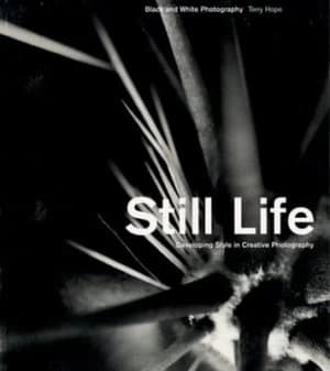 Still Life Paperback