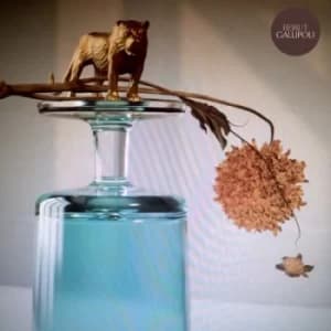 Gallipoli by Beirut CD Album