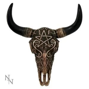 Ritual Remains Bison Skull