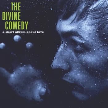 The Divine Comedy - A Short Album About Love Vinyl