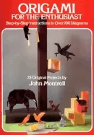 origami for the enthusiast