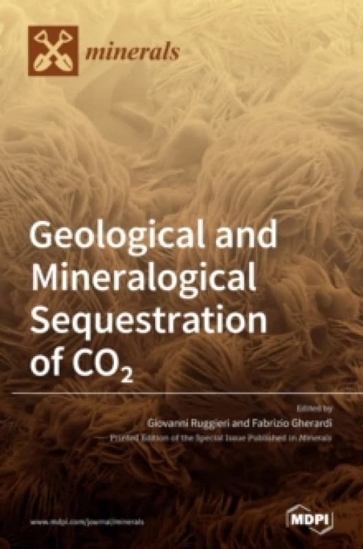 Geological and Mineralogical Sequestration of CO2 Hardback