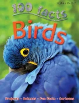 Birds by Belinda Gallagher Paperback