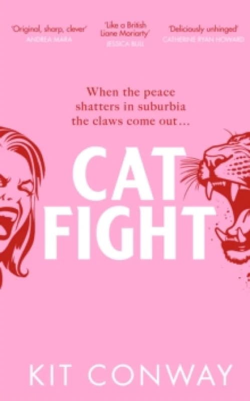 Cat Fight. Hardback. By Kit Conway Books