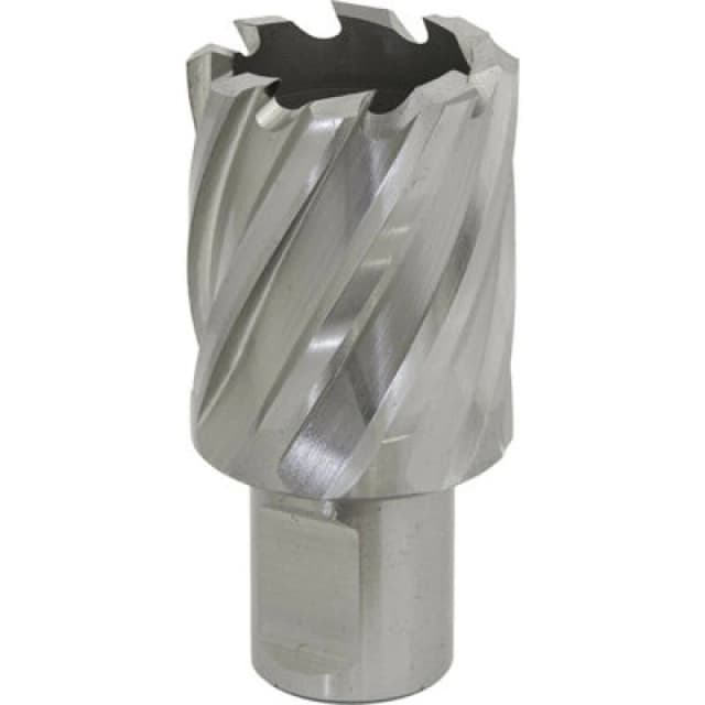 Loops 29mm x 25mm Depth Rotabor Cutter - M2 Steel Annular Metal Core Drill 19mm Shank Metallics