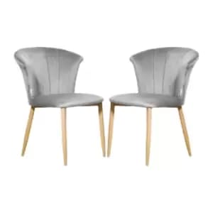 Elsa Velvet Upholstered Dining Chair Set of 2 - Grey - Grey