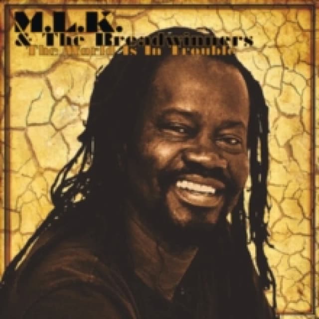 The World Is in Trouble Vinyl