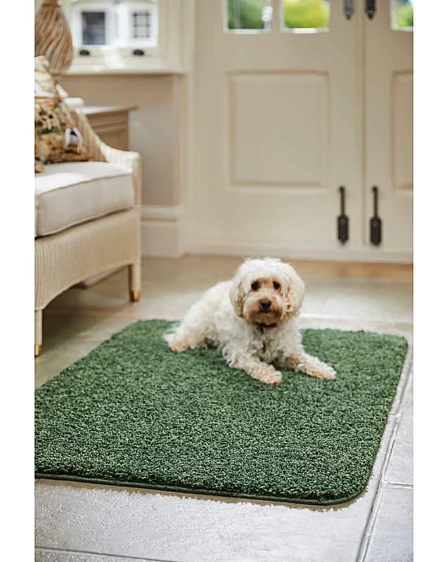 Buddy Buddy Washable & Stain Resistant Rug Forest Green 60X100 NV22077