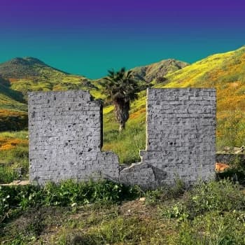 Shopping All or Nothing Vinyl