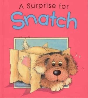 A Surprise for Snatch by Sue Hall Book