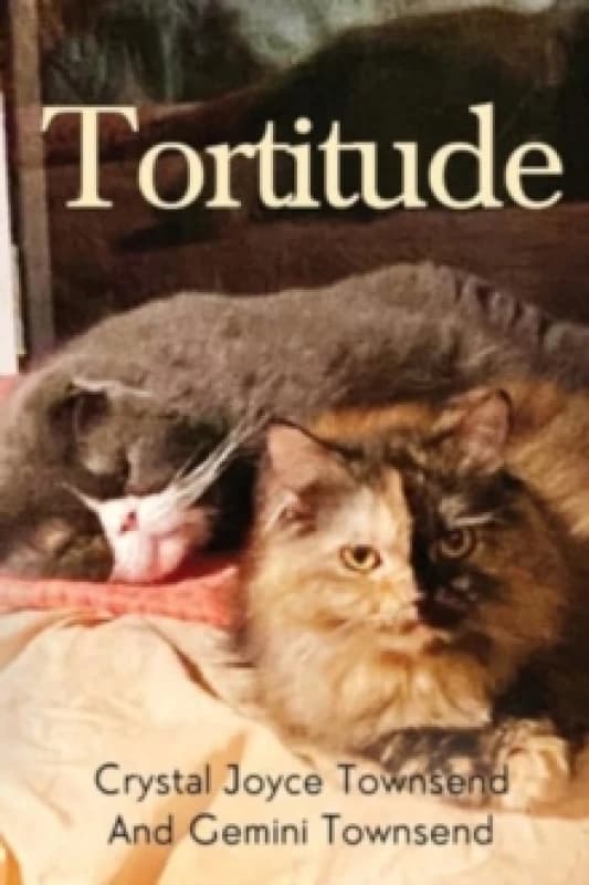 Tortitude Paperback / softback