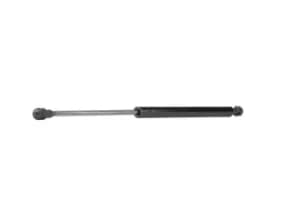 RIDEX Tailgate strut 219G0162 Gas spring, boot- / cargo area,Boot struts AUDI,TT Coupe (8N3)