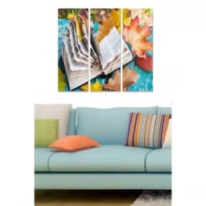 MDF7208027 Multicolor Decorative MDF Painting (3 Pieces)