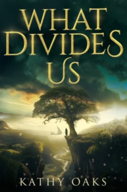 What Divides Us Paperback / softback