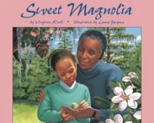 Sweet magnolia by Virginia Kroll