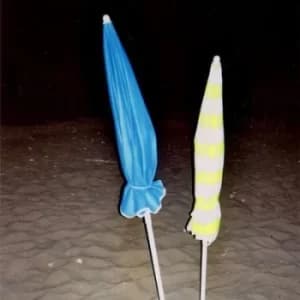 Live from Queimada Grande by Night Shirts Vinyl Album