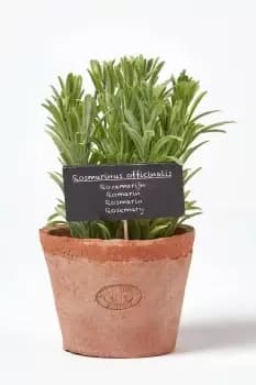 Artificial Rosemary Plant in Decorative Pot