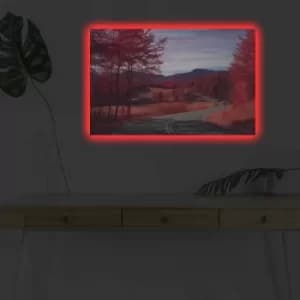 4570DHDACT-033 Multicolor Decorative LED Lighted Canvas Painting