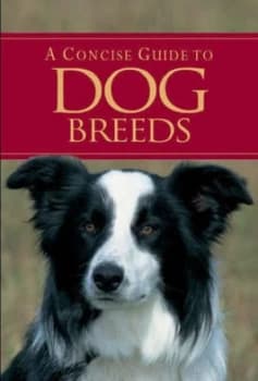 A Pocket Guide to Dog Breeds Paperback
