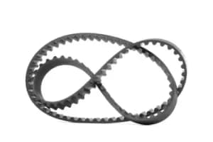 DAYCO Timing Belt FIAT,PEUGEOT,CITROEN 94862 081686,0816F2,9631203080 Cam Belt,Toothed Belt 9467581780,081686,0816F2,9467581780,9631203080