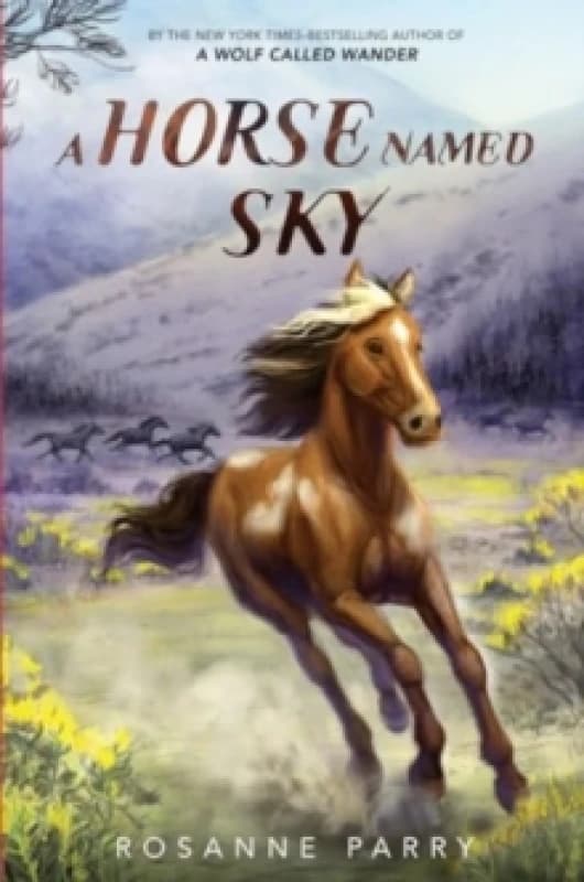 A Horse Named Sky Paperback / softback