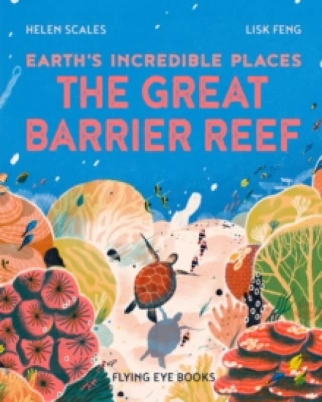 The Great Barrier Reef Paperback / softback
