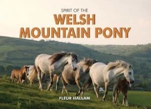 Spirit of the Welsh Mountain Pony by Fleur Hallam Book