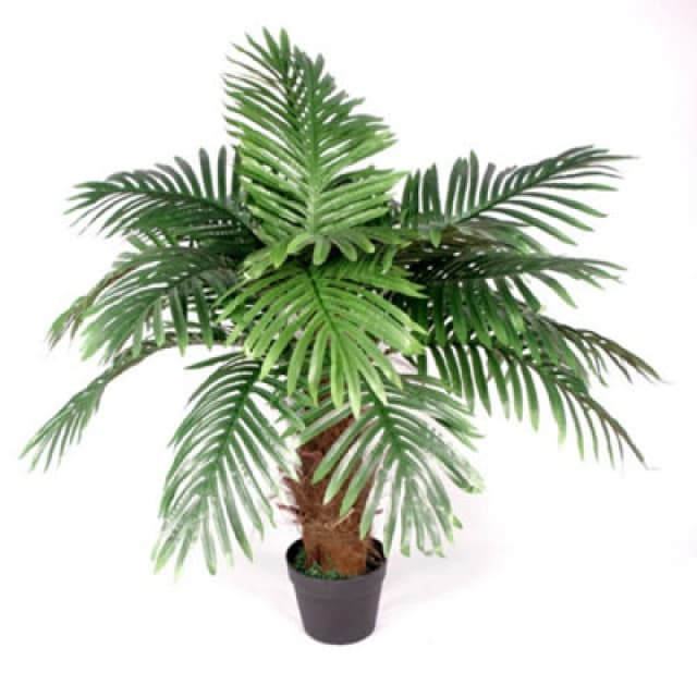 Leaf Design Artificial Princess Palm Tree 100cm (Brown Trunk)