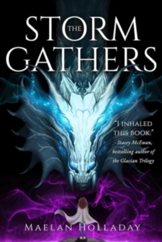 The Storm Gathers Paperback / softback