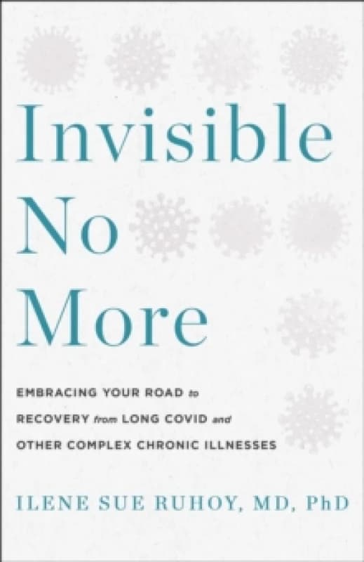Invisible No More. Hardback. By Ilene S Ruhoy Books