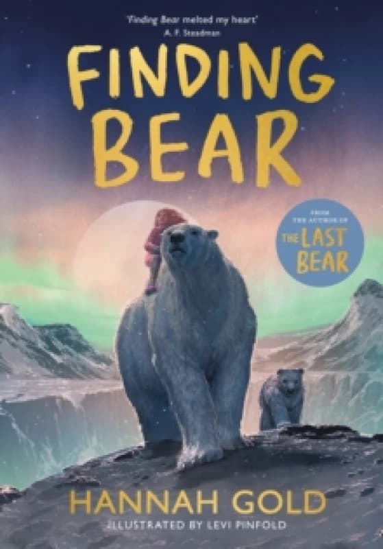 Finding Bear Paperback / softback