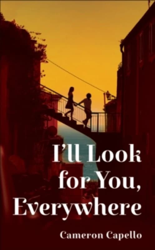 I'll Look for You, Everywhere Hardback
