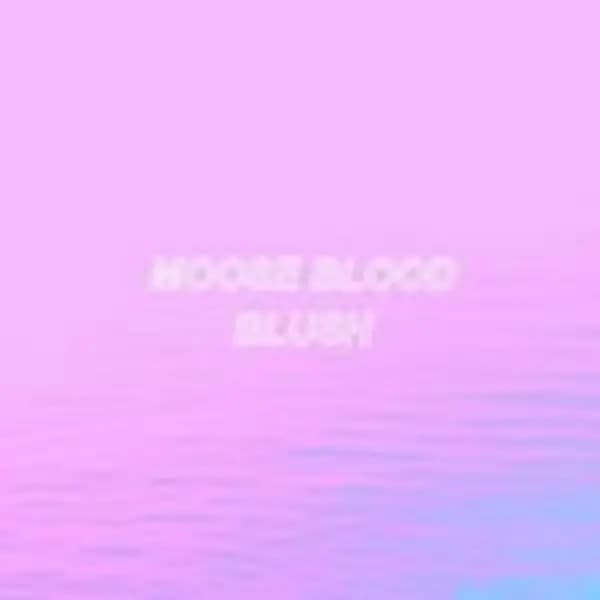 Moose Blood - Blush (Music CD) MUSIC CD - CD - Pop
