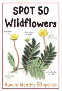 Spot 50 Wildflowers Paperback