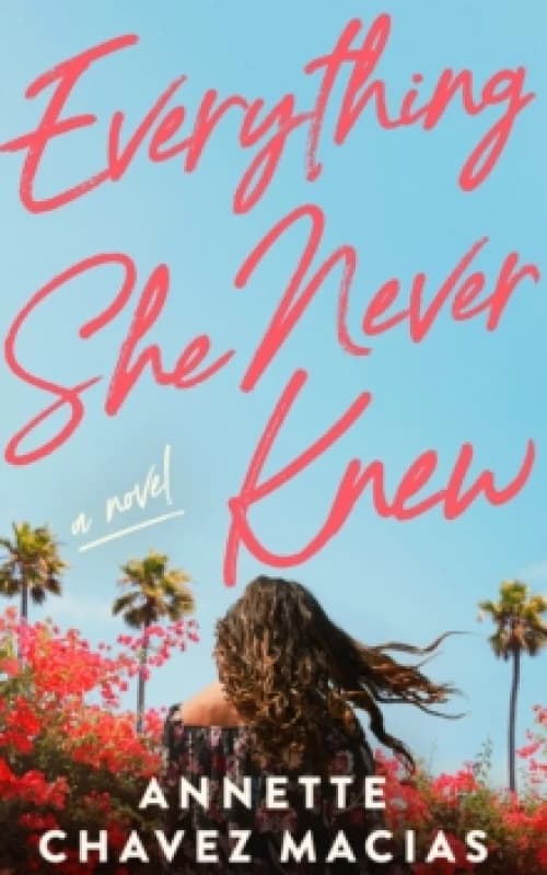 Everything She Never Knew Paperback / softback