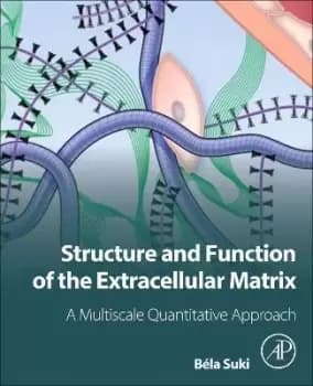 Structure and Function of the Extracellular Matrix by Bela Suki