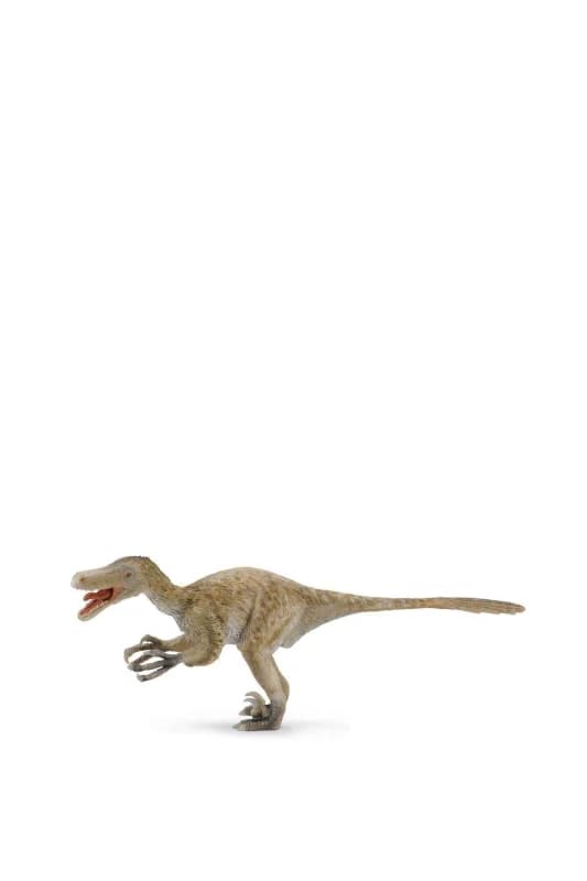 CollectA Velociraptor Dinosaur Toy in Light Beige Light Beige Unisex
